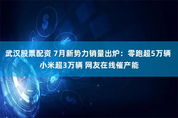 武汉股票配资 7月新势力销量出炉：零跑超5万辆 小米超3万辆 网友在线催产能